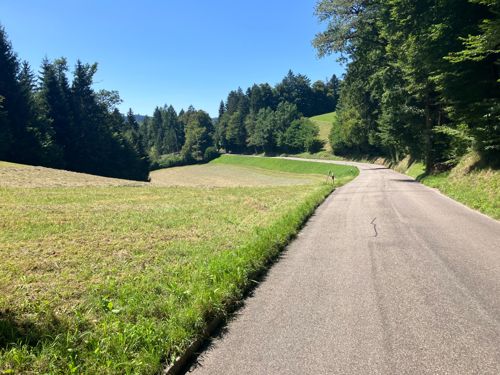 4.Giretto 13.08.2025, 65Km