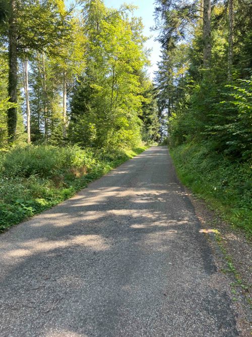 Ausfahrt 2.Mai "Fete Tête de Moine" in Bellelay total 220km