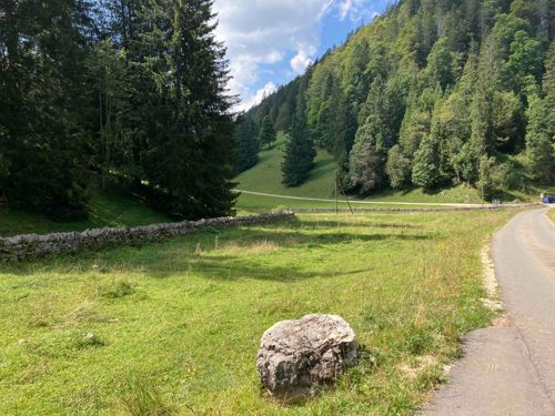 Ausfahrt 2.Mai "Fete Tête de Moine" in Bellelay total 220km