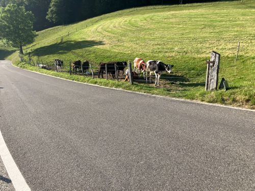 3. Giretto 27.Mai 55km